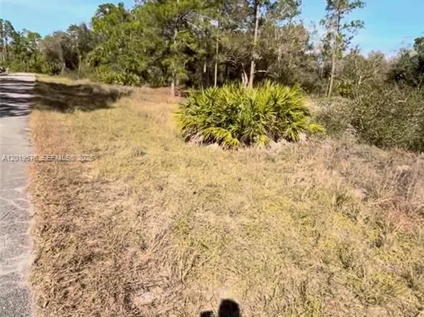 2112 Irving Ave, Alva, FL 33920