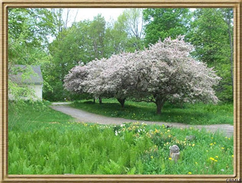 5th image of 2852 GREEN HILL Road