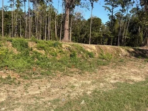 24087 State Highway 22, Maurepas, LA 70449