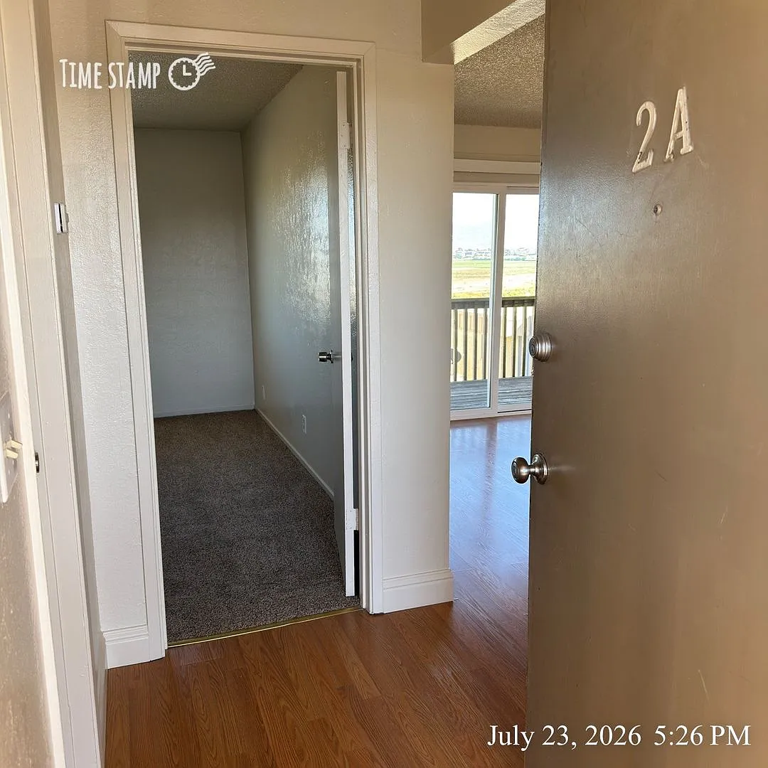 luns17 — Photo 2