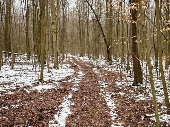 0 Tidd Rd, Williamsfield, OH 44093