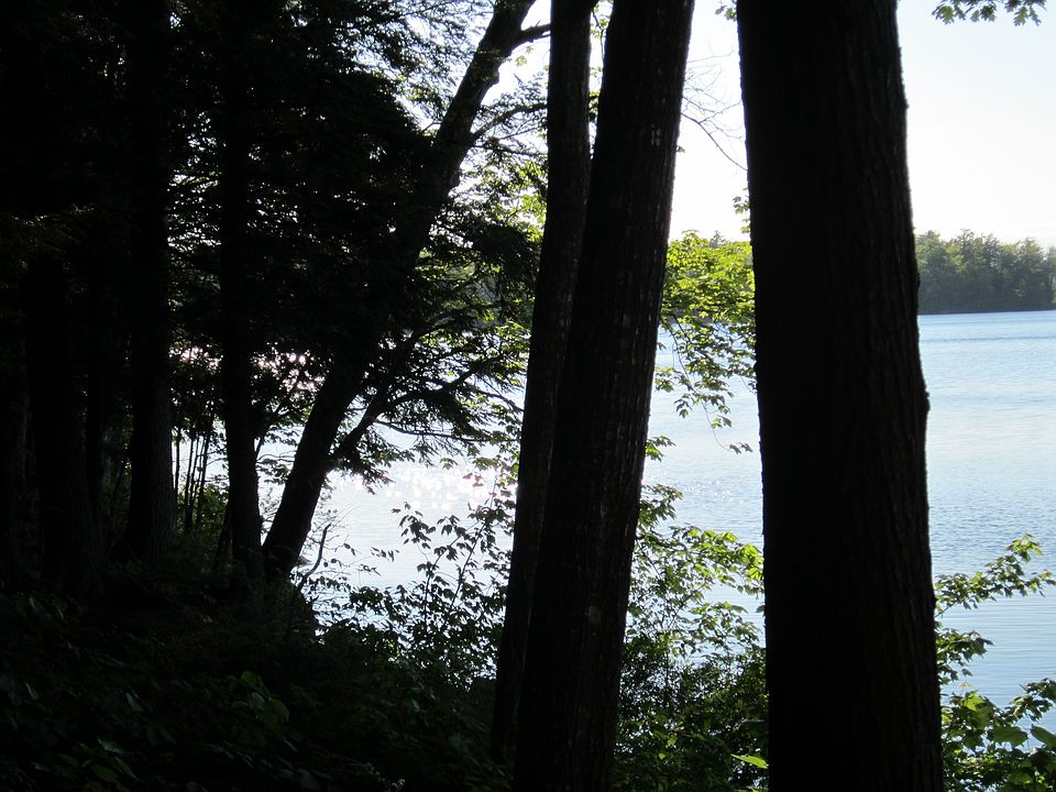 1st image of 60 Theressa Drive