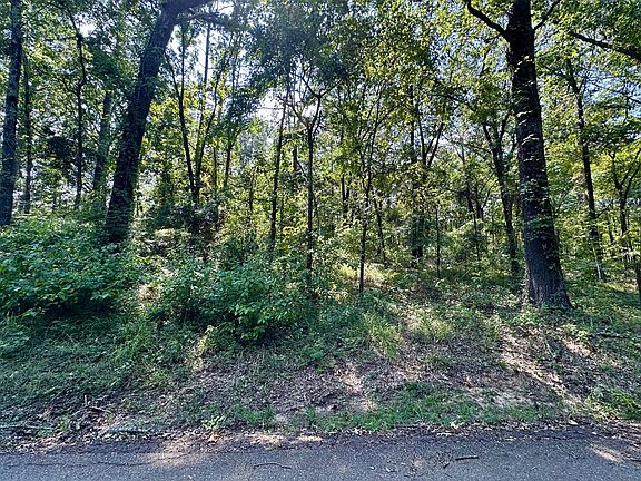 4th image of N/a County Rd Lot 59-2938