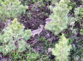 Cumbie Rd TRACT 3, Climax, GA 39834