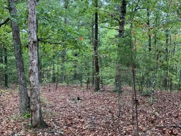 34 Madison St #410, Fredericktown, MO 63645