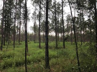 0 Bragg Rd, Kountze, TX 77625