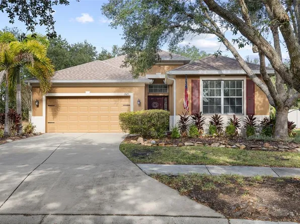 17425 New Cross Cir, Lithia, FL 33547