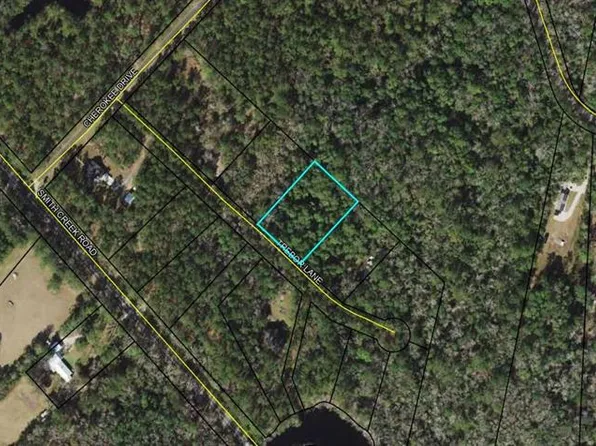 Trebor Ln Lot 4, Sopchoppy, FL 32358