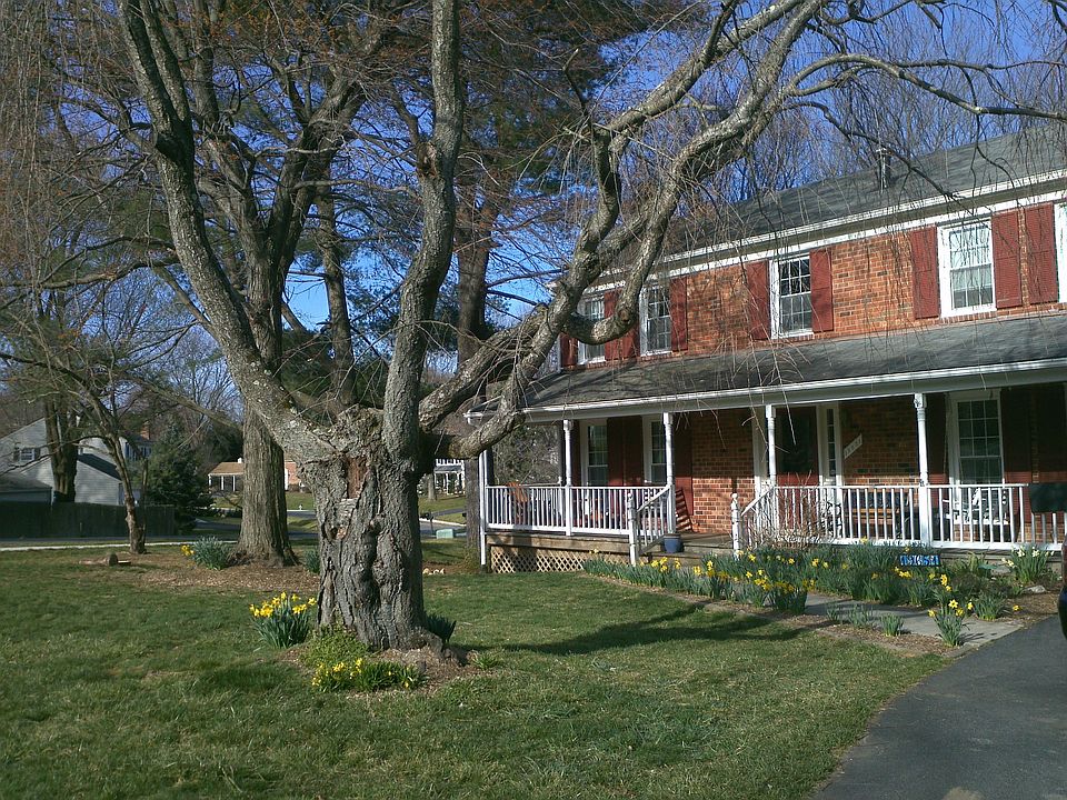 Front view