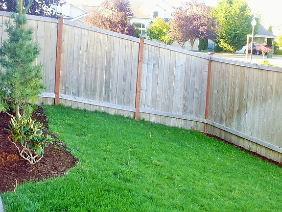 Large fenced back yard!