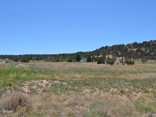 Tbd Cedar Hollow Ln, Taylor, AZ 85939