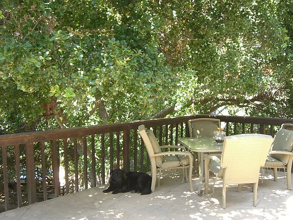 5th image of 1321 Calle Pecos