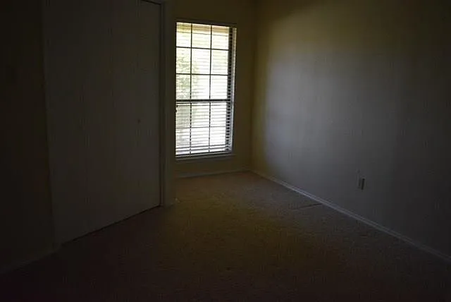 5221 Wild Horse Ct — Photo 5