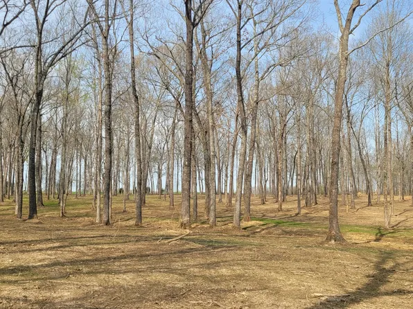 6 Goforth Rd Lot 6-5, Morrison, TN 37357