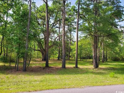 TBD Gray Oaks Dr., Conway, SC, 29526