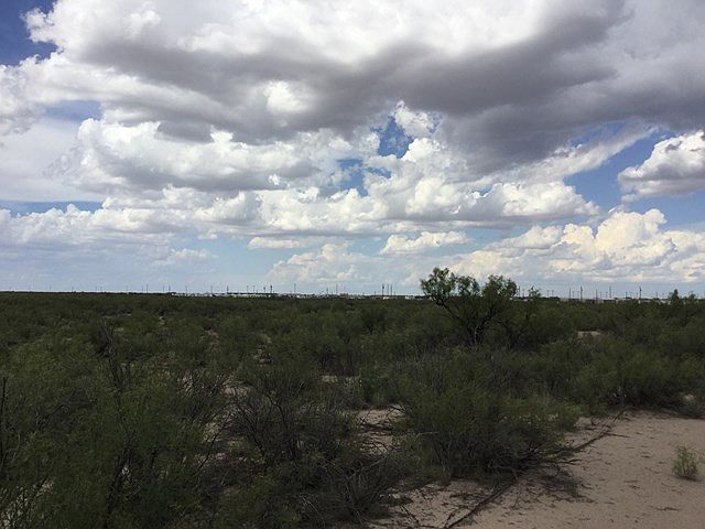 1st image of 0 N Fm 1216 #C