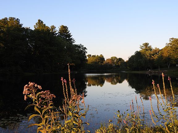 Looking down the river