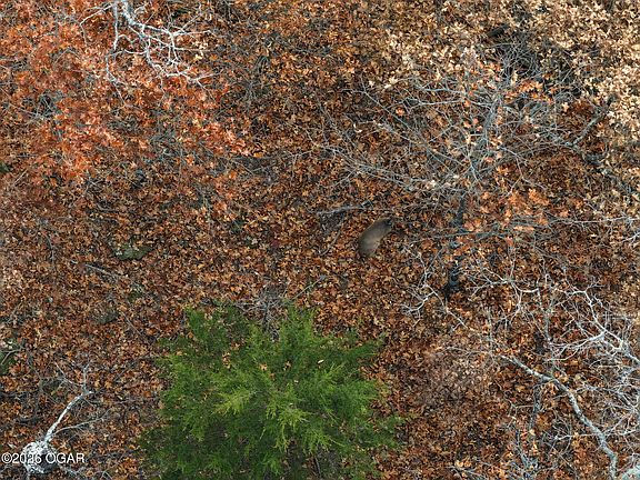 2nd image of Pacific Highlands St