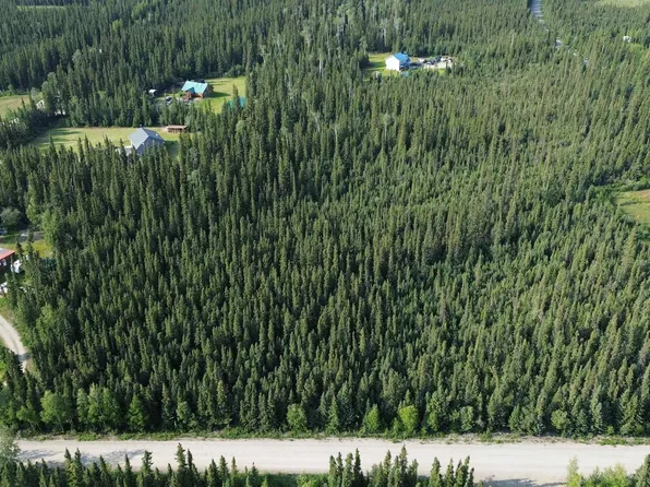 L5b South Eielson Ave, Delta Junction, AK 99737
