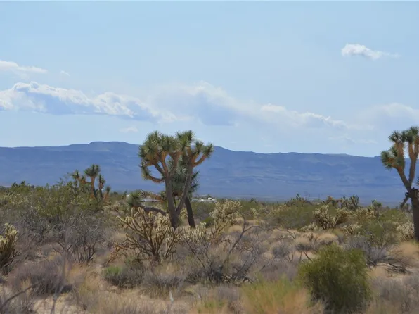 11189 S Alvis Rd, Yucca, AZ 86438