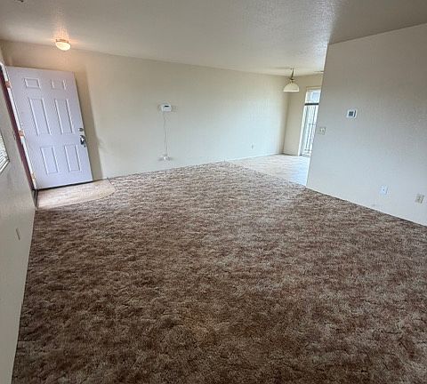 4th image of 1736 Medart Ln