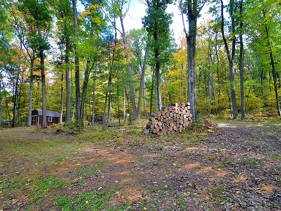 3rd image of N 5622 Crystal Mountain Road