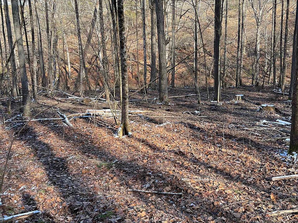 0 Glassworks Rd Buckhannon WV Zillow