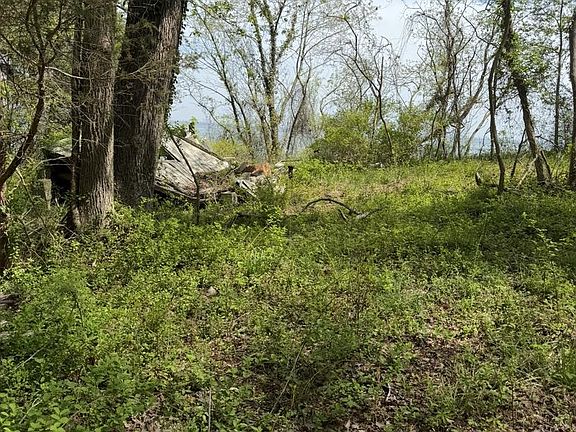 4th image of 1485 Wilson Rd