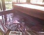 5th image of 36 Queen Ann Ct