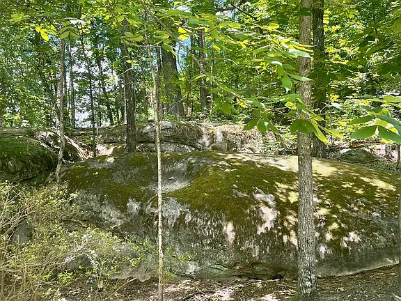4th image of 3241 Verdure Dr