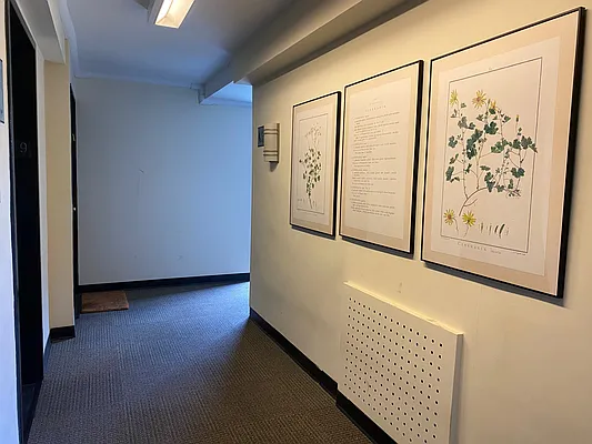 Sold by Douglas Elliman | media 15