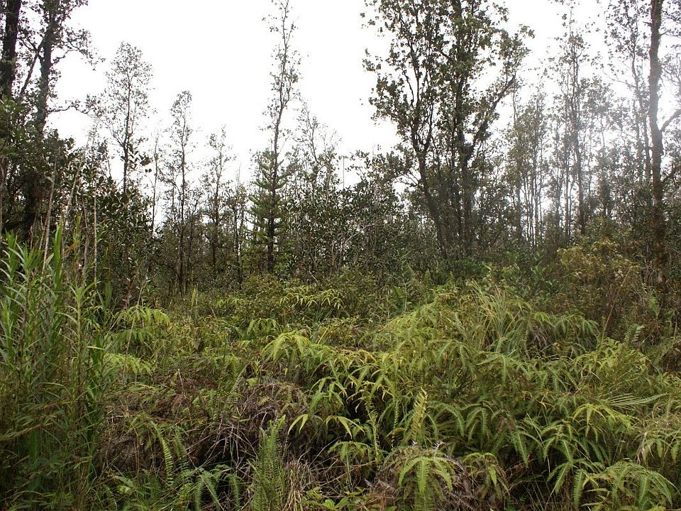 2nd image of Ooaa Road Rd #6-lot 4199