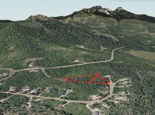 58185 Jupiter Pl, Clark, CO 80428