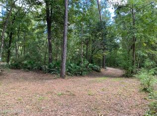 118 Corbina Way W, Florahome, FL 32140