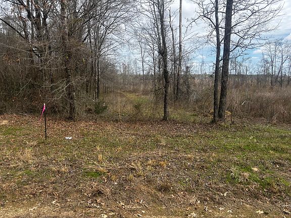 5th image of 2 Reed Rd