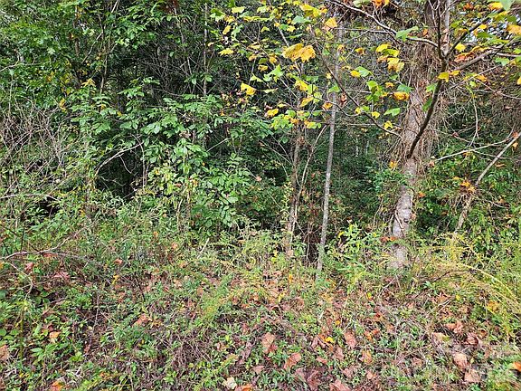 4th image of 0 Hickory Loop Lot 36
