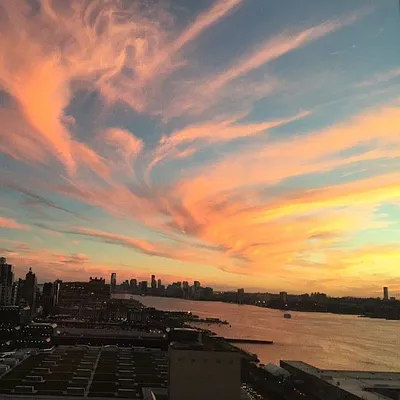 Rented by Bold New York | media 9