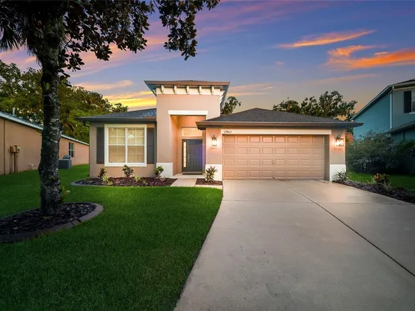 17463 New Cross Cir, Lithia, FL 33547