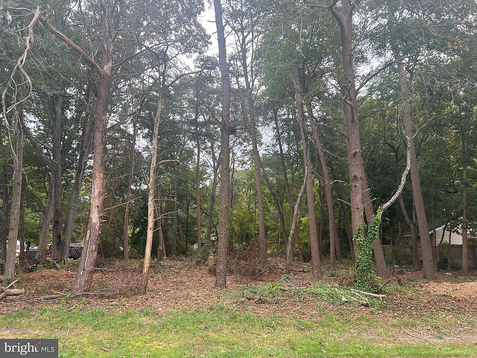 2nd image of 405 Evergreen Rd