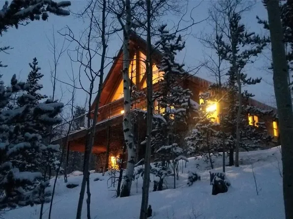 1688 Ponderosa Road, Alma, CO 80420