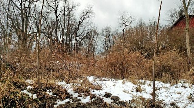 2nd image of 435 Blue Jay Dr