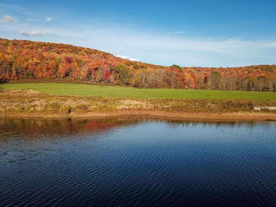 3524 Basin Clove Rd, Hamden, NY 13782 Zillow