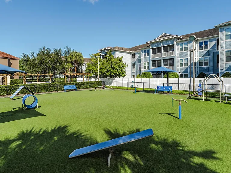 Open dog park area