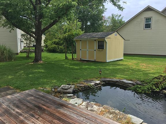 Koi pond and shed in the summer
