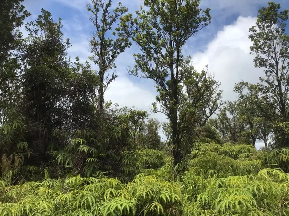 Ala Naulani Rd Lot 42, Volcano, HI 96785