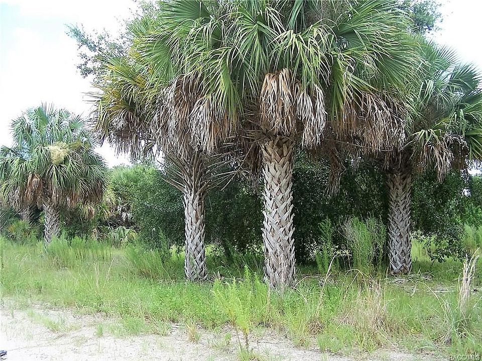 2nd image of 8603 W Dunnellon Rd