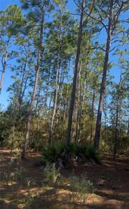 SW 128TH TERRACE ROAD LOT 8, Ocala, FL, 34481
