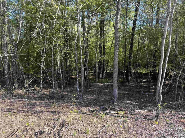 0 E Gum St Tract 3, Sheridan, AR 72150
