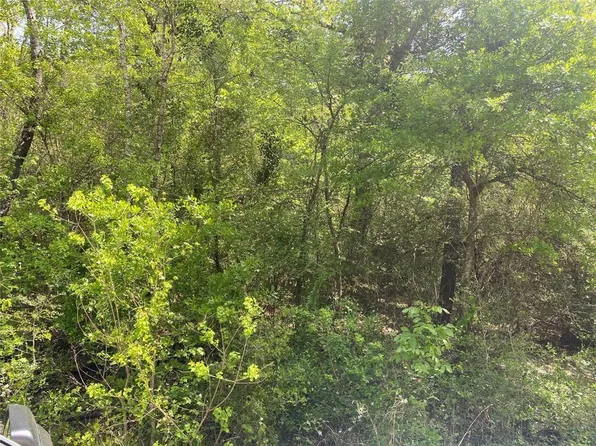 0 Hollybrook Dr Lot 8, Plantersville, TX 77363