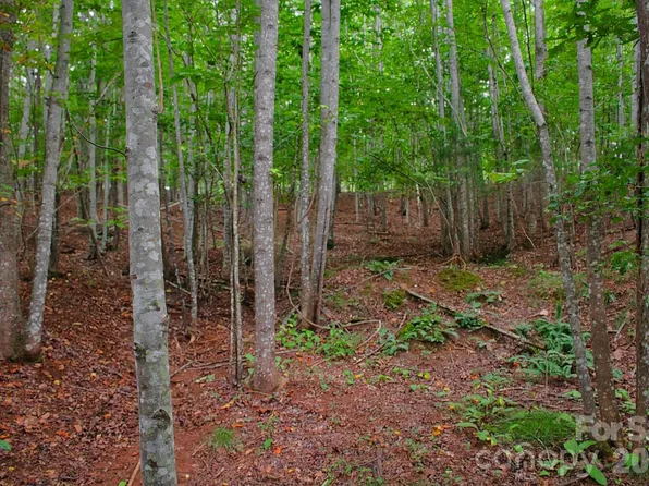 0 Creekside Cir #110, Rutherfordton, NC 28139